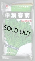 [春菊]　中葉春菊　1L