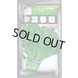 [春菊]　中葉春菊　1L