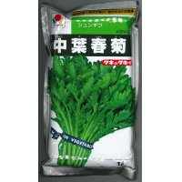 [葉物]　中葉春菊　1L　