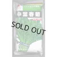 [春菊]　中葉春菊　1L