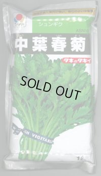 [春菊]　中葉春菊　1L