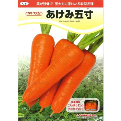 画像2: [人参]　あけみ五寸　1万粒　L　サイズ　ペレット種子　カネコ種苗（株）
