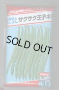 [いんげん]　つるなしいんげん　サクサク王子ネオ　1L　(株)サカタのタネ