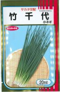 送料無料　[ねぎ]　竹千代　20ml　（株）サカタのタネ