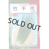 送料無料　[ねぎ]　竹千代　20ml　（株）サカタのタネ