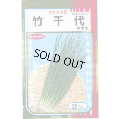 画像1: 送料無料　[ねぎ]　竹千代　20ml　（株）サカタのタネ