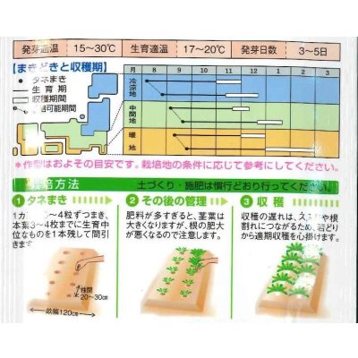 画像2: [大根]　おふくろ　16ml　タキイ種苗(株)　DF