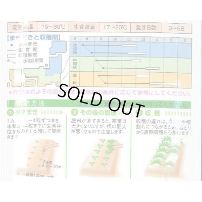 画像2: [大根]　おふくろ　16ml 　　タキイ種苗（株）　DF　