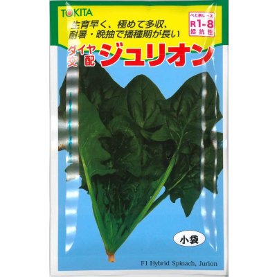 画像1: 送料無料　[ほうれんそう]　ジュリオン　40ml　トキタ種苗(株)