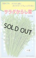 送料無料　[葉物]　サラダからし菜　12ml　トキタ種苗(株)
