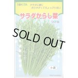 送料無料　[葉物]　サラダからし菜　12ml　トキタ種苗(株)