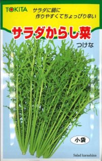 [葉物]　サラダからし菜　12ｍｌ　トキタ種苗（株）