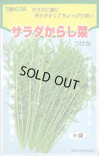 送料無料　[葉物]　サラダからし菜　12ml　トキタ種苗(株)