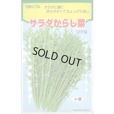 画像1: 送料無料　[葉物]　サラダからし菜　12ml　トキタ種苗(株)