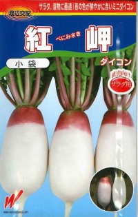 送料無料　[大根]　紅岬　3ml　渡辺農事（株）