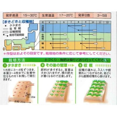 画像2: [大根]　辛之助　5ml　タキイ種苗（株）　RF　