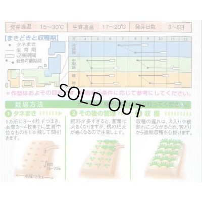 画像2: [大根] 辛之助 5ml タキイ種苗(株) RF