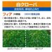 画像2: [緑肥]　しろクローバ　フィア　500g　カネコ種苗(株） (2)