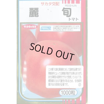 画像1: 送料無料　[トマト/大玉トマト]　麗旬　1000粒（10%増量）　(株)サカタのタネ