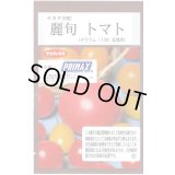 送料無料　[トマト/大玉トマト]　麗旬　100粒（10%増量）　(株)サカタのタネ