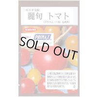 送料無料　[トマト/大玉トマト]　麗旬　100粒（10%増量）　(株)サカタのタネ