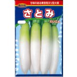 送料無料　大根　さとみ大根　1000粒　渡辺農事（株）