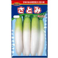 送料無料　大根　さとみ大根　1000粒　渡辺農事（株）