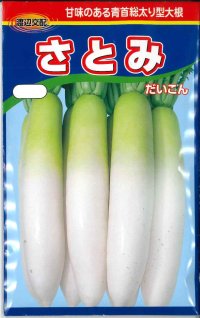 送料無料　大根　さとみ大根　1000粒　渡辺農事（株）