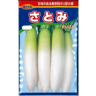 画像1: 送料無料　大根　さとみ大根　1000粒　渡辺農事（株）