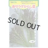送料無料　[葉物]　赤サラダからし菜　10ml　トキタ種苗(株)