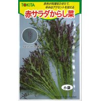 [葉物]　赤サラダからし菜　10ml　トキタ種苗（株）