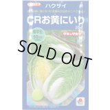 送料無料　[白菜]　CRお黄にいり　20ml　貴種(コートしてません)　タキイ種苗(株)