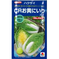 [白菜]　CRお黄にいり　20ｍｌ 貴種（コートしてません）　タキイ種苗（株）