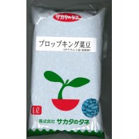 [いんげん]　プロップキング　1L　サカタのタネ（株）