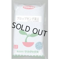 [いんげん]　プロップキング　1L　(株)サカタのタネ