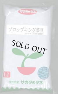[いんげん]　プロップキング　1L　(株)サカタのタネ