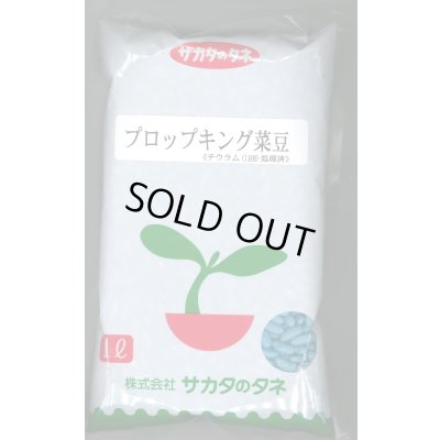 画像1: [いんげん]　プロップキング　1L　(株)サカタのタネ