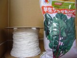[シーダー種子]　ほうれんそう　早生サラダあかり　1粒×5cm間隔