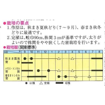 画像2: 送料無料　[ねぎ]　東京夏黒2号　2dl　トキタ種苗(株)