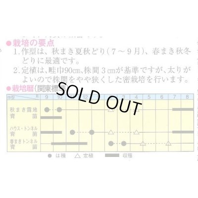 画像2: [ねぎ]　東京夏黒２号　20ml　トキタ種苗（株）