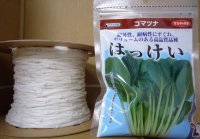 [シーダー種子]　小松菜　はっけい　1粒×5cm間隔