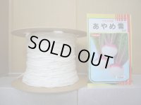[シーダー種子]　かぶ　あやめ雪　1粒×15cm間隔
