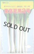 送料無料　[ねぎ]　東京夏黒2号　20ml　トキタ種苗(株)