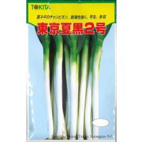 送料無料　[ねぎ]　東京夏黒2号　20ml　トキタ種苗(株)