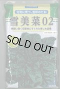 [ほうれんそう]　雪美菜02　3万粒（種子サイズ：L）　雪印種苗(株)