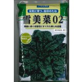 [ほうれんそう]　雪美菜02　3万粒（種子サイズ：L）　雪印種苗(株)