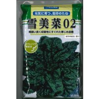 [ほうれんそう]　雪美菜02　3万粒（種子サイズ：L）　雪印種苗(株)