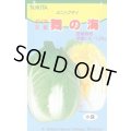 送料無料　[白菜]　舞の海　2ml　トキタ種苗(株)