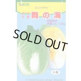 送料無料　[白菜]　舞の海　2ml　トキタ種苗(株)
