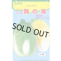 送料無料　[白菜]　舞の海　2ml　トキタ種苗(株)